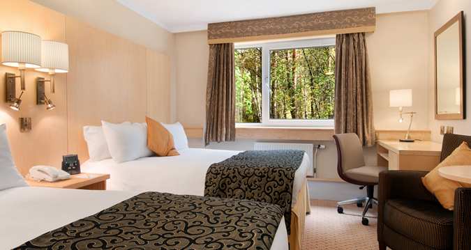 Hilton Double Family Room