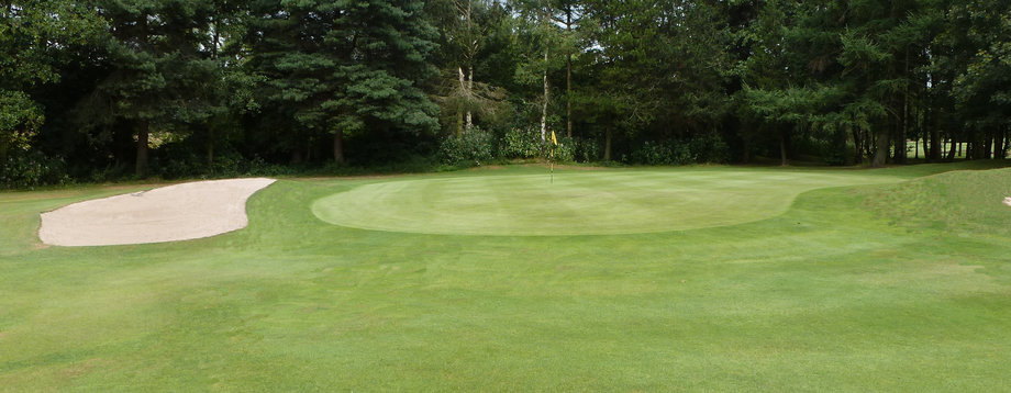 Clean and Green Golf Scenery