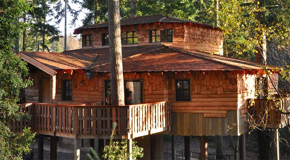 EXTERIOR OF TREEHOUSE