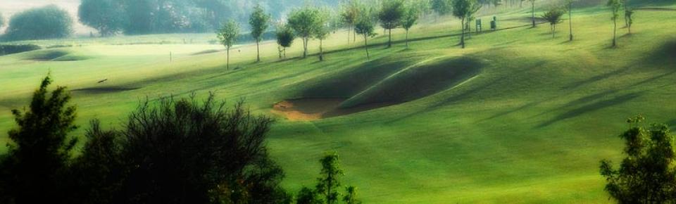 Golf Field