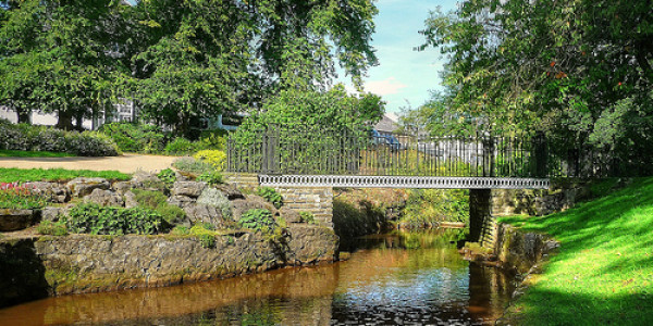 LOVE THE NATURE AT PAVILLION GARDENS