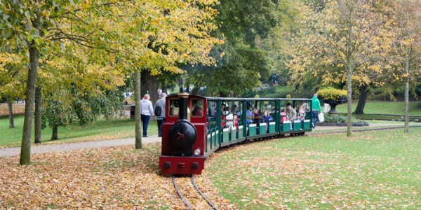 MINIATURE TRAIN