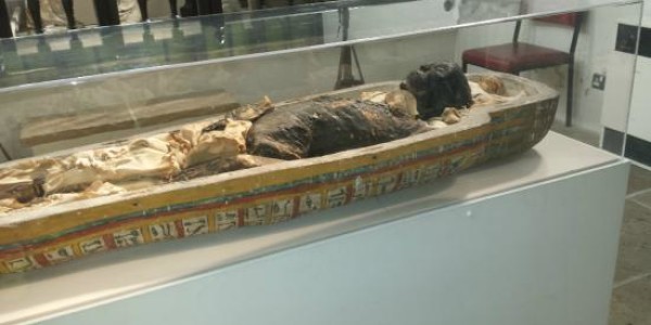 Mummy from Egypt