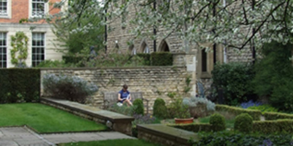 SCHOOL ENVIRONMENT