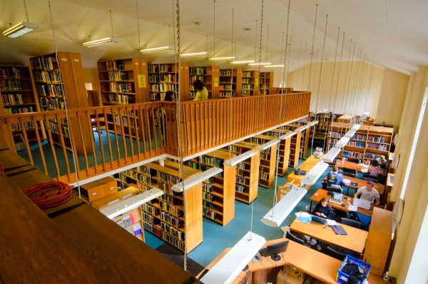 Study Area