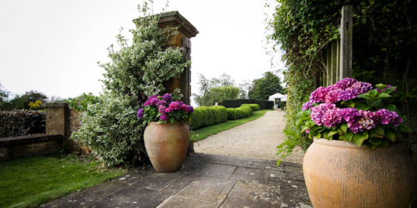 TEARRACE GARDEN