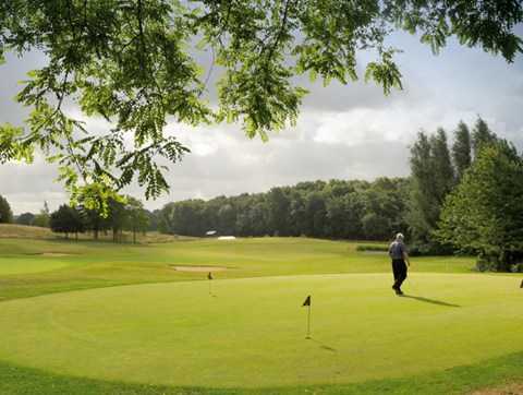 Golf Field