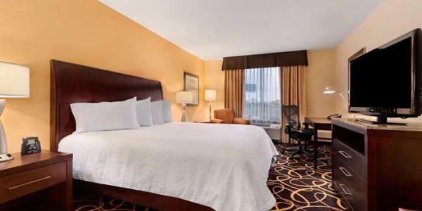 King Guest Room