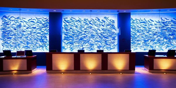 Reception Area