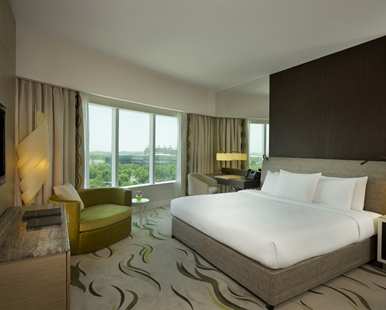 King Guest Room