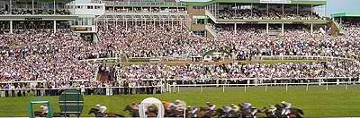 Newcastle Racecourse and Conference Centre