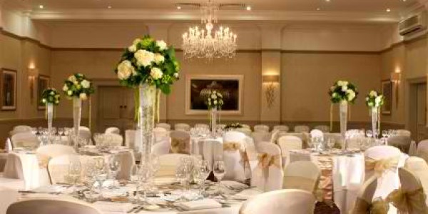 Wedding Reception